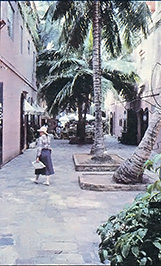 Shops in St. Thomas.